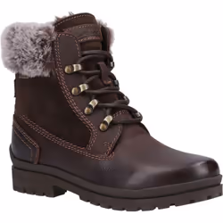 Cotswold Womens/Ladies Evenlode Ankle Boots - 3 UK, Brown