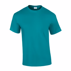Gildan Unisex Adult Ultra Cotton T-Shirt - XL, Jade Dome
