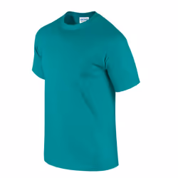 Gildan Unisex Adult Ultra Cotton T-Shirt - XL, Jade Dome
