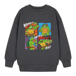 Teenage Mutant Ninja Turtles Boys Have A Slice Day Sweatshirt - 3-4 Years, Charcoal