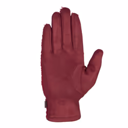 Trespass Womens/Ladies Pisa Sherpa Winter Gloves - L-XL, Mulberry
