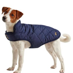 Joules Quilted Dog Coat - M, Navy