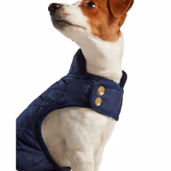 Joules Quilted Dog Coat - M, Navy