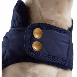 Joules Quilted Dog Coat - M, Navy