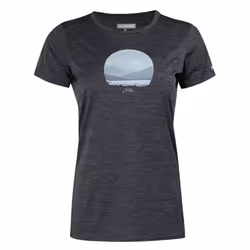 Regatta Womens/Ladies Fingal VIII Scenery Marl T-Shirt - 14 UK, Seal Grey Marl