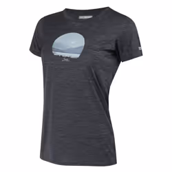 Regatta Womens/Ladies Fingal VIII Scenery Marl T-Shirt - 14 UK, Seal Grey Marl