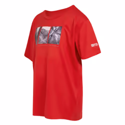 Regatta Childrens/Kids Alvarado VIII Cycling T-Shirt - 14 Years, Danger Red