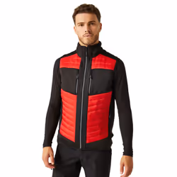 Regatta Unisex Adult E-Volve Thermal Hybrid Body Warmer - XS, Classic Red/Black