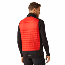 Regatta Unisex Adult E-Volve Thermal Hybrid Body Warmer - XS, Classic Red/Black