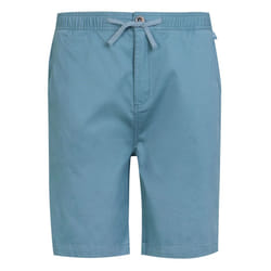 Regatta Mens Aldan Chino Shorts - 38R, Coronet Blue