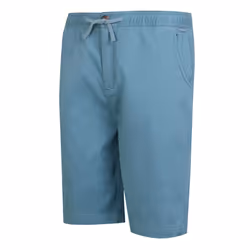 Regatta Mens Aldan Chino Shorts - 38R, Coronet Blue