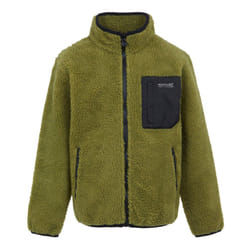 Regatta Childrens/Kids Frankie Full Zip Fleece Jacket - 13 Years, Nephrite Green