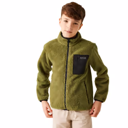 Regatta Childrens/Kids Frankie Full Zip Fleece Jacket - 13 Years, Nephrite Green