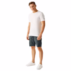 Regatta Mens Ruwan Casual Shorts - 30R, Seal Grey