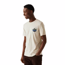 Regatta Mens Cline IX Scenery T-Shirt - 5XL, Moonstruck