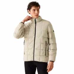 Regatta Mens Wilnor Padded Jacket - 3XL, Abbeystone