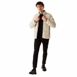 Regatta Mens Wilnor Padded Jacket - 3XL, Abbeystone
