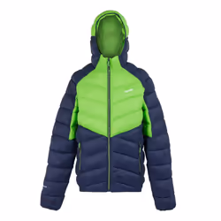 Regatta Mens Dalent Hooded Insulated Jacket - M, Green Flash/Navy
