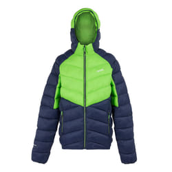 Regatta Mens Dalent Hooded Insulated Jacket - S, Green Flash/Navy