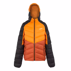 Regatta Mens Dalent Hooded Insulated Jacket - 3XL, Fox/Red Ochre
