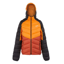 Regatta Mens Dalent Hooded Insulated Jacket - XL, Fox/Red Ochre