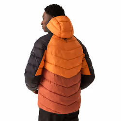 Regatta Mens Dalent Hooded Insulated Jacket - XL, Fox/Red Ochre