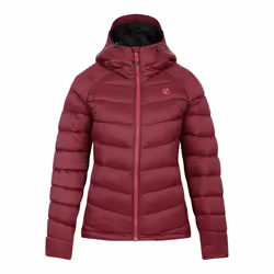 Dare 2B Womens/Ladies Torrek Baffled Padded Jacket - 8 UK, Fig
