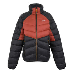 Regatta Mens Dalent Padded Jacket - 3XL, Red Ochre/Black