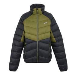 Regatta Mens Dalent Padded Jacket - XL, Nephrite Green/Black