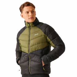 Regatta Mens Dalent Padded Jacket - XL, Nephrite Green/Black