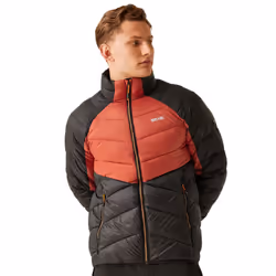 Regatta Mens Dalent Padded Jacket - L, Red Ochre/Black