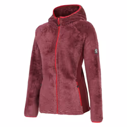 Dare 2B Womens/Ladies Torrek Mountain Pro Midlayer - 10 UK, Fig
