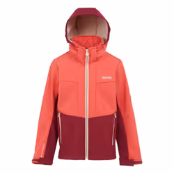 Regatta Childrens/Kids Haydenbury II Soft Shell Jacket - 14 Years, Red Sky/Rumba Red