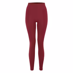 Dare 2B Womens/Ladies In The Zone Base Layer Leggings - S, Fig