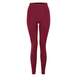 Dare 2B Womens/Ladies In The Zone Base Layer Leggings - S, Fig