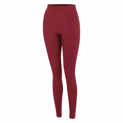 Dare 2B Womens/Ladies In The Zone Base Layer Leggings - S, Fig