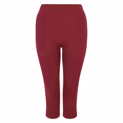 Dare 2B Womens/Ladies In The Zone II Panel 3/4 Leggings - XS, Fig