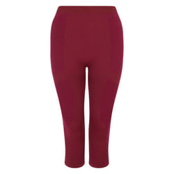 Dare 2B Womens/Ladies In The Zone II Panel 3/4 Leggings - XS, Fig
