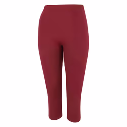 Dare 2B Womens/Ladies In The Zone II Panel 3/4 Leggings - XS, Fig