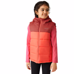 Regatta Childrens/Kids Lofthouse II Gilet - 3-4 Years, Mineral Red/Red Sky