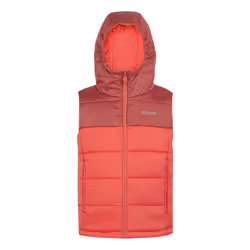 Regatta Childrens/Kids Lofthouse II Gilet - 14 Years, Mineral Red/Red Sky
