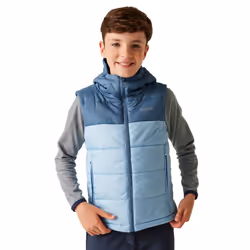 Regatta Childrens/Kids Lofthouse II Gilet - 14 Years, Coronet Blue/Clear Sky