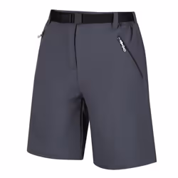 Regatta Womens/Ladies Xert III Stretch Shorts - 34R, Seal Grey