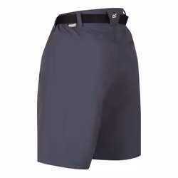 Regatta Womens/Ladies Xert III Stretch Shorts - 34R, Seal Grey