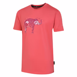 Regatta Childrens/Kids Amuse II Bike T-Shirt - 5-6 Years, Neon Pink