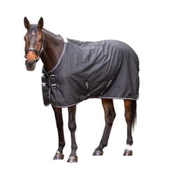 Tempest Original Lite Standard-Neck Horse Stable Rug - 69in, Black