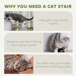 PawHut Cat Steps 3 Stairs Deluxe Pet Portable Easy Climb Assistance Lightweight - Additional view 6