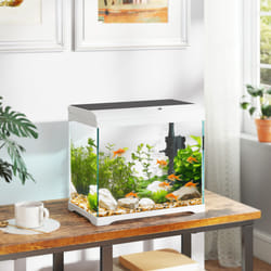 PawHut 17L Glass Fish Tank with Filter System, LED Light, Water Pump, White