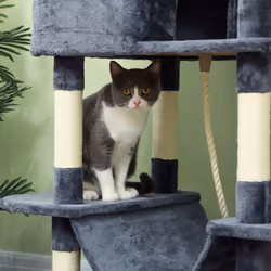 PawHut 206cm Cat Tree with Scratching Posts, Beds, Condos, Toys, Dark Grey - Additional view 7