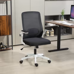 HOMCOM Mesh Desk Chair with Tilt Function, Lumbar Support, Black